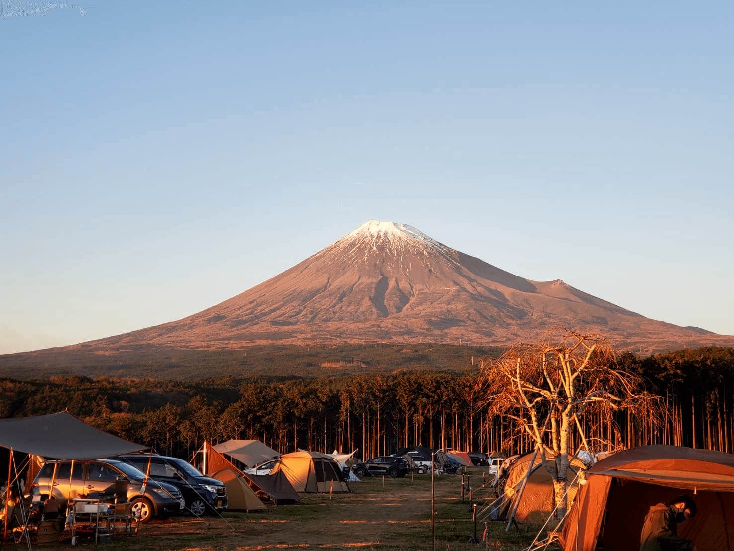 可以眺望富士山的露营地