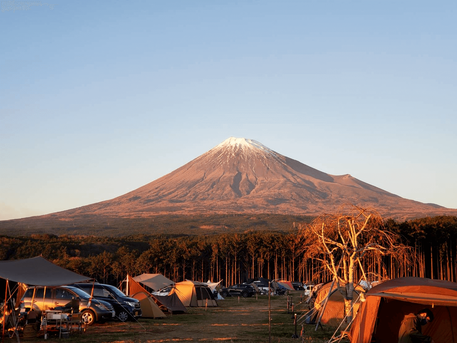 富士山が臨むキャンプ場です